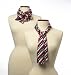 Patriotic Silk Scarves