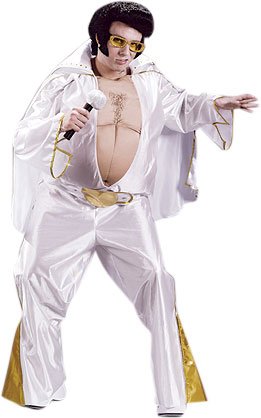 Adult Fat Rock Star Singer Costume  