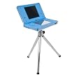 CTA Tripod with Crystal Case (Nintendo DSi)
