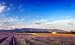 'Landscape In Provence, France' Wall Decal - 36