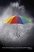Rainbow Umbrella (Want the Rainbow) Art Poster Print - 24