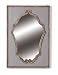Foreside Venetian Mirror