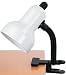 Lite Source Gooseneck Clip Lite Wht 60w LS-111WHT