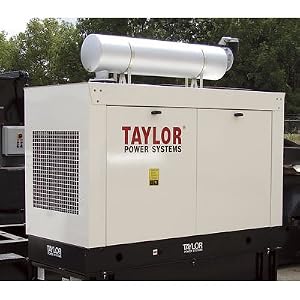 Taylor Skid Mount Diesel Generator Set - 13 kW, Model# NTDS13M2 by 