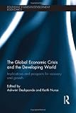 The global economic crisis and the developing world : implications and prospects for recovery and growth