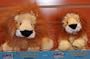 Webkinz and Lilkinz Lion New with tags Set