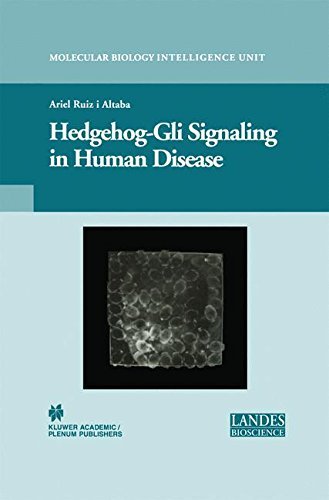 Hedgehog-Gli Signaling in Human Disease (Molecular Biology Intelligence Unit)