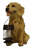 Tricod Golden Yellow Retriever Dog with Lantern Solar Light