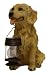 golden_retriever1golden retriever - Tricod Golden Yellow Retriever Dog with Lantern Solar