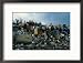 People Searching Through Rubbish in Manila's Smoky Mountain, Manila, Philippines Framed Photographic Poster Print by Oliver Strewe, 21x17