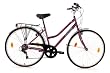 fahrrad