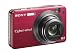 Sony Cyber-shot W170