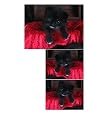Siwo - Design Katzen Fliesen Dekoration (319)