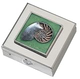 Nautilus Small Vitamin Case - Polished w/Mirror