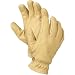 Apparel : Marmot Basic Work Glove