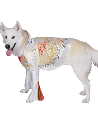 Elvis Dog Costume