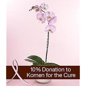 Pink Ribbon Orchid by 