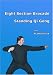 Eight Section Brocade Standing Qi Gong