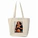 Search : Britney Spears Tote Bag