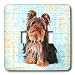 Dogs Yorkshire Terrier - Yorkshire Terrier - Light Switch Covers - double toggle switch
