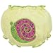 Mullins Square Snail Diaper Cover