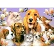 Ravensburger Garden Pals Jigsaw Puzzle, 300pc