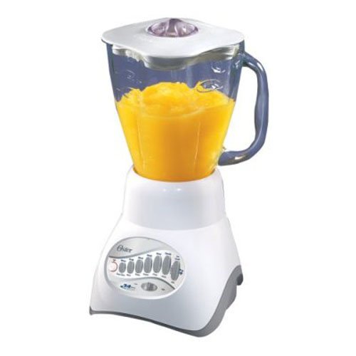 Oster 6873 14 Speed Blender Combination Food Processor