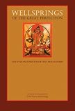 Wellsprings of the Great Perfection: The Lives and Insights of the Early Masters