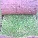 60 rolls of Seeded Turf
