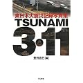 TSUNAMI3�E11: �����{��k�ЋL�^�ʐ^�W