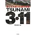 TSUNAMI3�E11: �����{��k�ЋL�^�ʐ^�W
