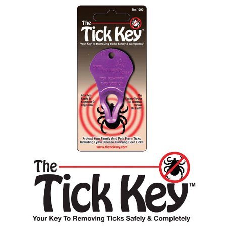 The Tick Key