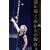 At Yokohama Stadium  DVD