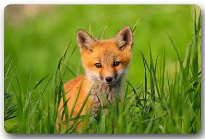 Cute Fox baby Non-woven Fabric 23.6"(L) x 15.7"(W)Machine-washable Indoor/Outdoor/Shower/Bathroom Doormat