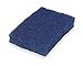 Scouring Pad, 6"L, 3-1/2"W, Nyln, Blu, PK20