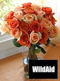 Two Dozen WildAid Assorted Roses - B001LKQP52