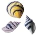 Sugar Layon-Seashells 1-1/2": 96 Count