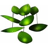 Fireflies In My Room