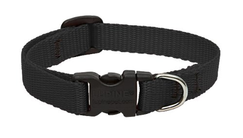LupinePet Basics 1/2" Black 10-16" Adjustable Collar for Small Dogs