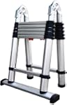 Telesteps 612TC 12.5-Feet Extension L...