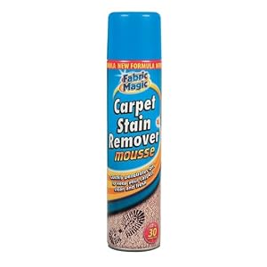 carpet stain remover amazon