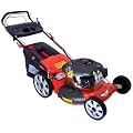 RASENM�HER BIG WHEELER 508 VARI-S