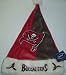 Tampa Bay Buccaneers NFL Colorblock Plush Santa Hat