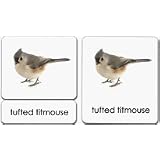 Birds3-PartReadingCards