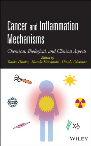 Cancer and Inflammation Mechanisms: Chemical, Biological, and Clinical Aspects