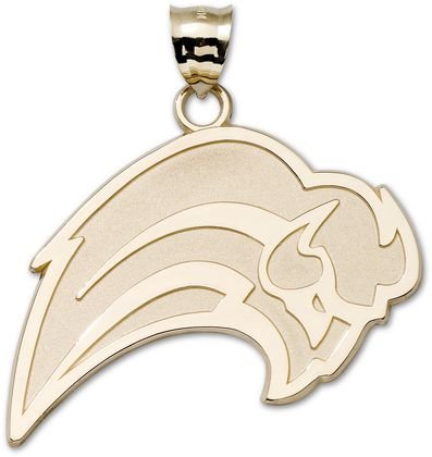 Sacramento Kings Logo Giant 10K Charm/Pendant