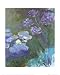 Water Lilies and Agapanthus Art Poster Print by Claude Monet, 16x20