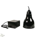 Hamilton Glossy Black Metal Halide Pendant