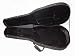 CSC-10 Acoustic Guitar Case, Hardshell with Black Cordura Cover, Free Shipping