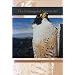 The Endangered Species Act (Stanford Environmental Law Society Handbook)